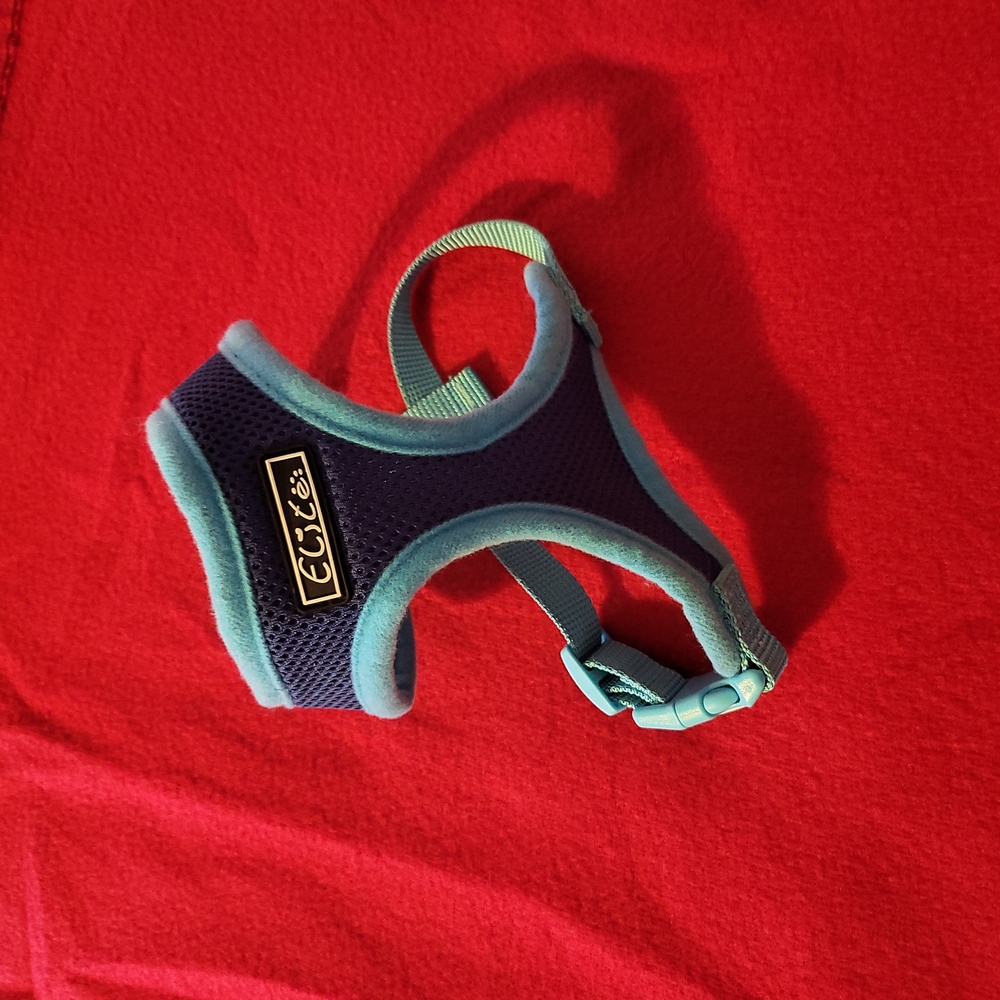 Dog  Harness